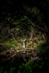 Shelley and Sean's beautiful Mt Coot-tha Botanic Gardens Wedding captured by Lindy Photography